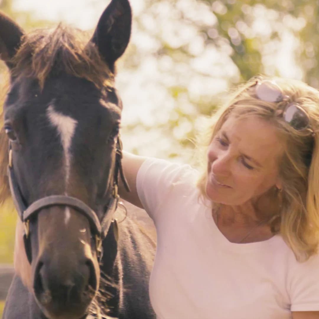 Ontario Lottery and Gaming